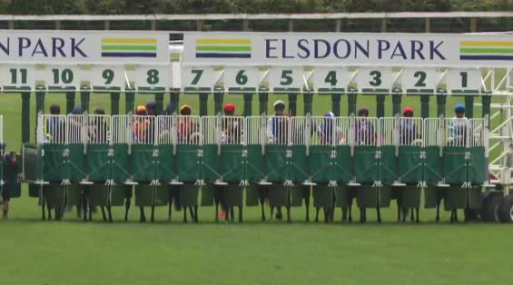 View video › View video ›