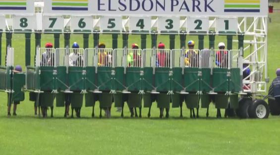 View video › View video ›