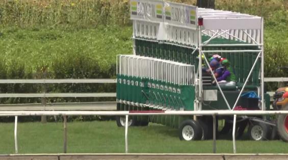 View video › View video ›