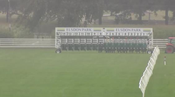 View video › View video ›