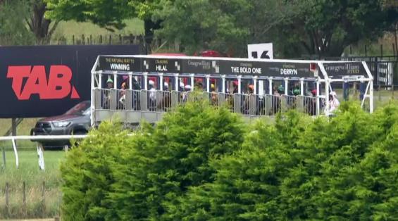 View video › View video ›