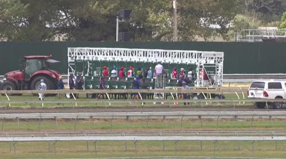 View video › View video ›