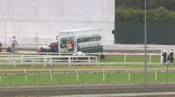 View video › View video ›