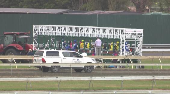 View video › View video ›