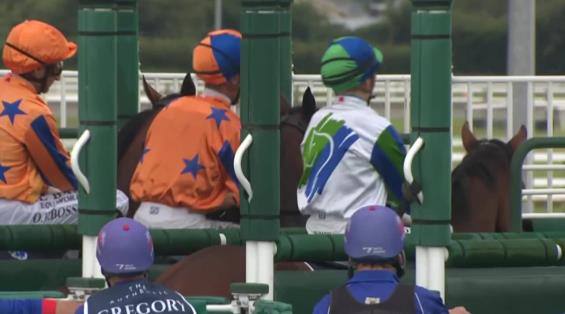 View video › View video ›