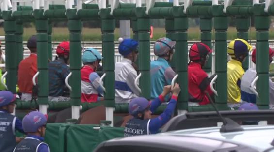 View video › View video ›