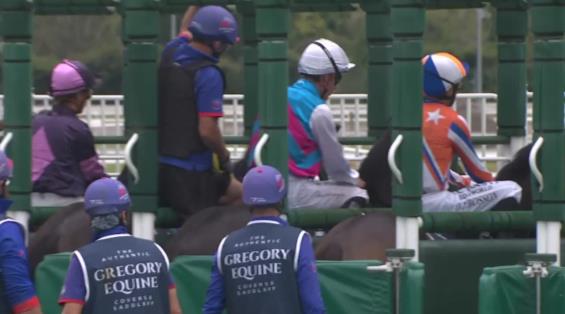 View video › View video ›