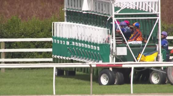 View video › View video ›