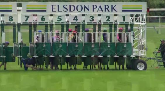 View video › View video ›