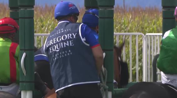 View video › View video ›