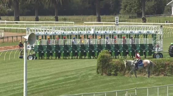 View video › View video ›