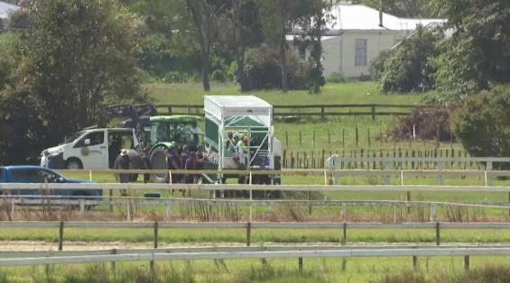 View video › View video ›