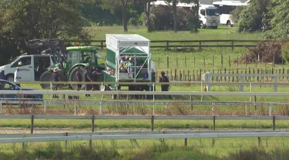 View video › View video ›