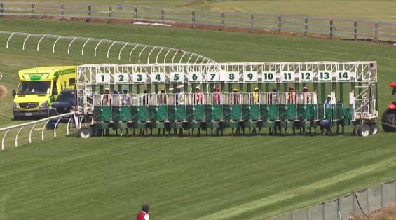 View video › View video ›