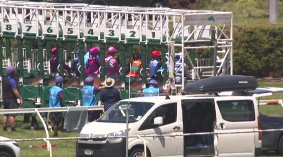 View video › View video ›