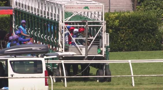 View video › View video ›