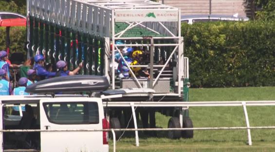 View video › View video ›