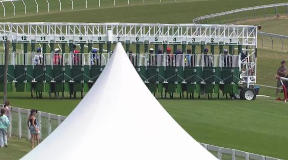 View video › View video ›