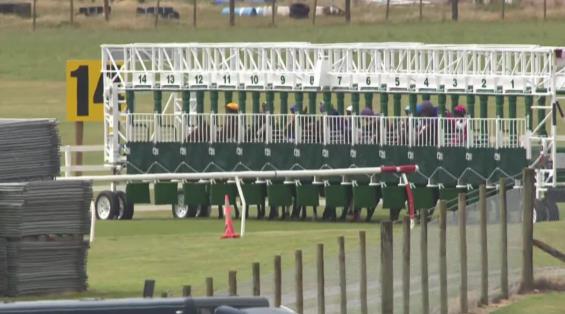 View video › View video ›