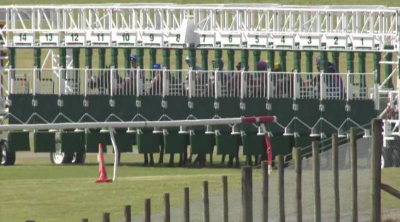 View video › View video ›