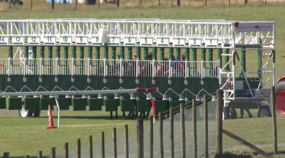 View video › View video ›