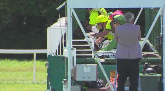 View video › View video ›