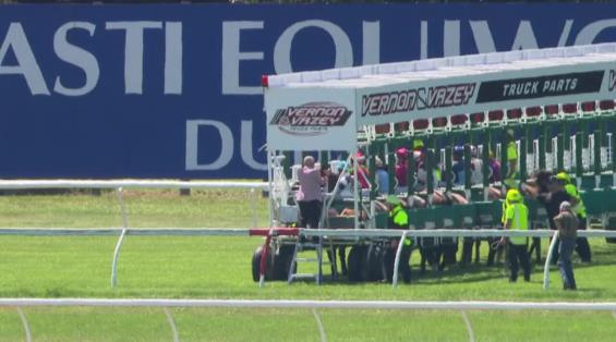 View video › View video ›