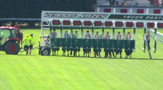 View video › View video ›