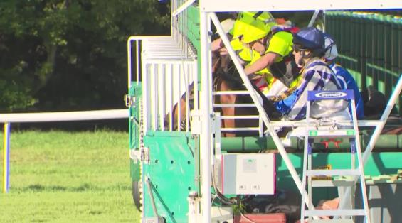 View video › View video ›