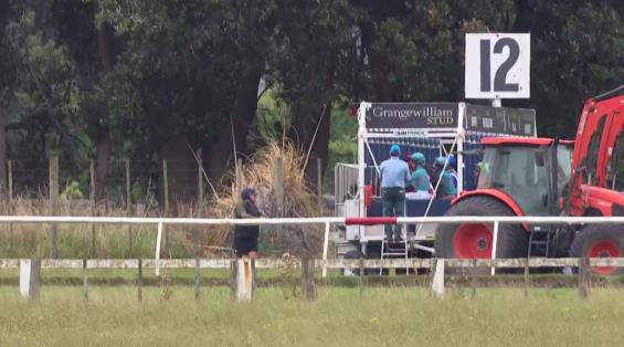 View video › View video ›