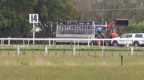 View video › View video ›