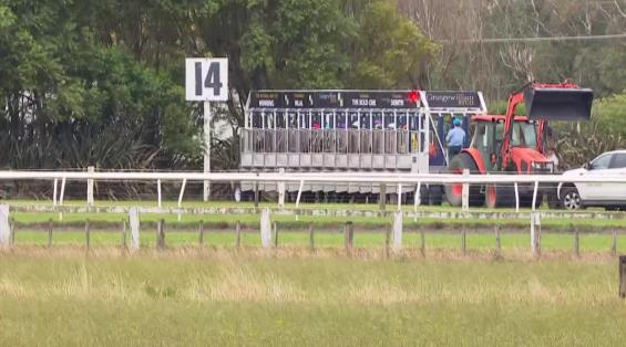 View video › View video ›