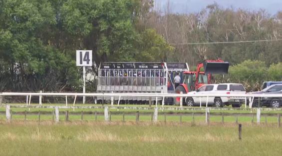 View video › View video ›