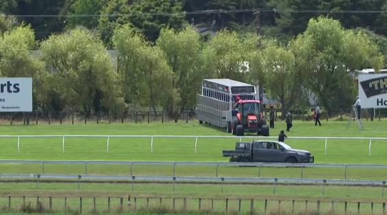 View video › View video ›