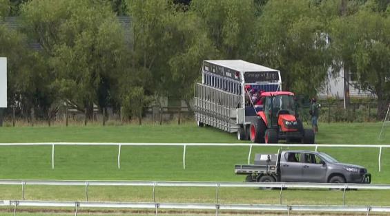 View video › View video ›