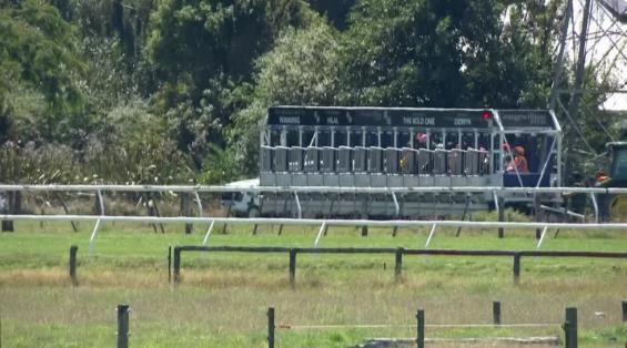 View video › View video ›