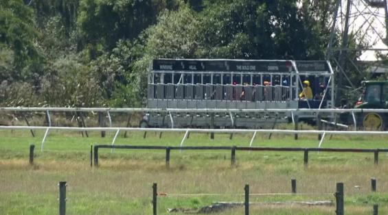 View video › View video ›