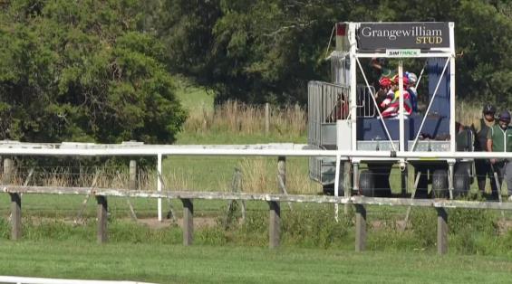 View video › View video ›