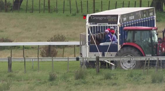 View video › View video ›