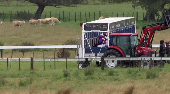 View video › View video ›