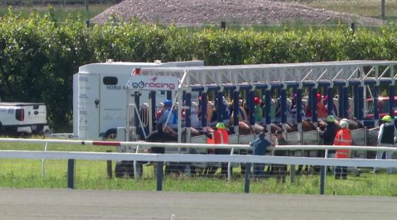 View video › View video ›