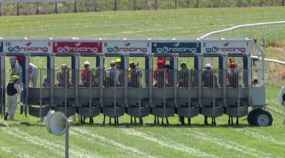 View video › View video ›