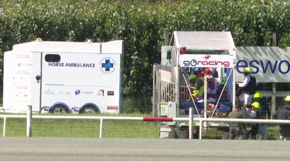 View video › View video ›