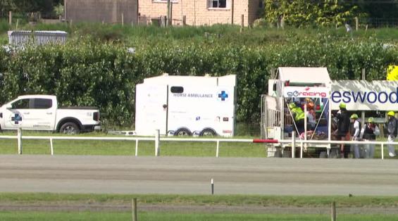 View video › View video ›