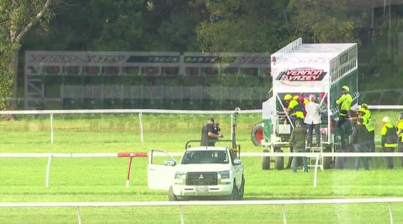 View video › View video ›