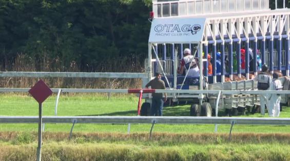 View video › View video ›