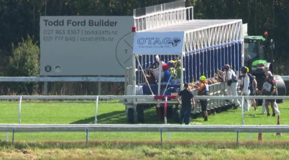 View video › View video ›