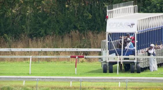 View video › View video ›