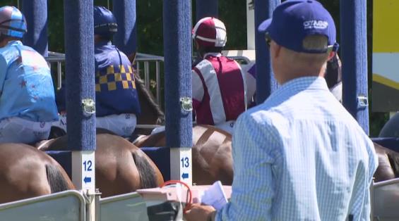 View video › View video ›