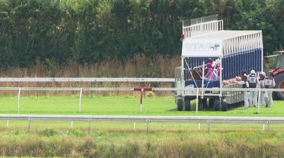 View video › View video ›